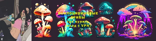 дживик Ельня