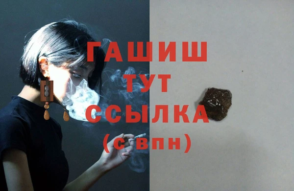 дживик Ельня