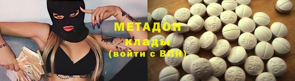 дживик Ельня