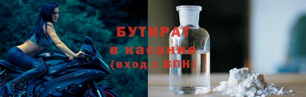 дживик Ельня