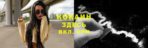 шишки Елабуга