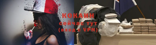 шишки Елабуга