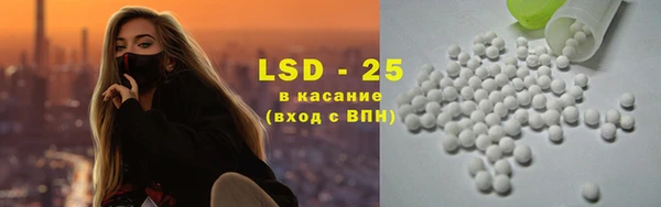 дживик Ельня