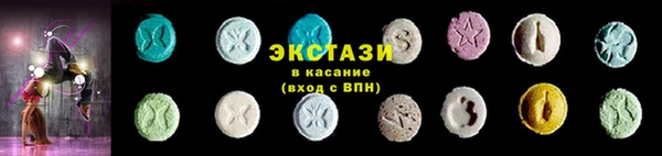 дживик Ельня