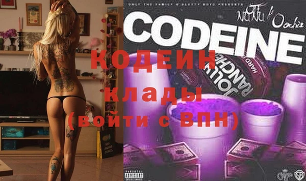 дживик Ельня