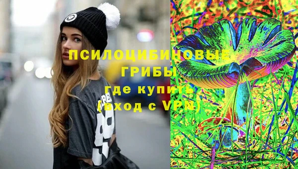 шишки Елабуга