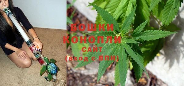 шишки Елабуга