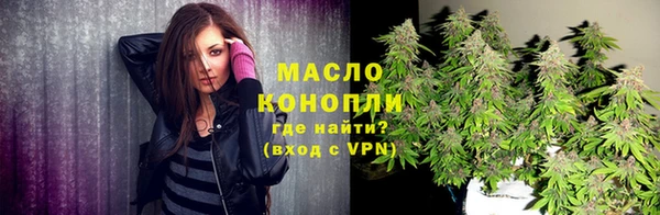дживик Ельня