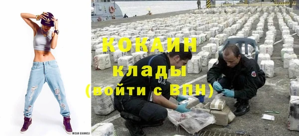 дживик Ельня
