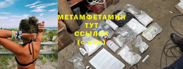 дживик Ельня