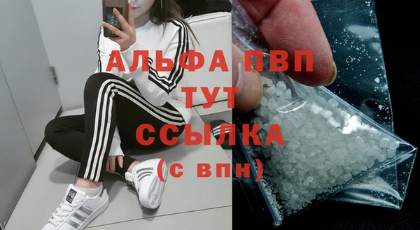 дживик Ельня