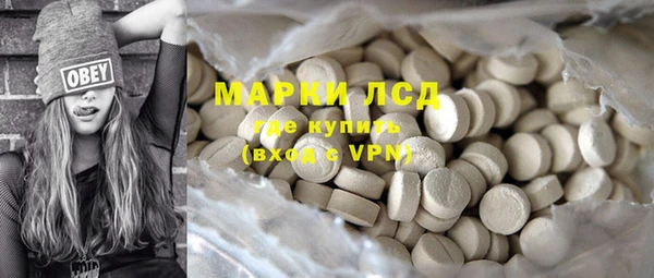 дживик Ельня