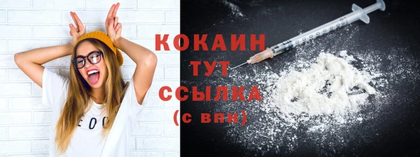 шишки Елабуга
