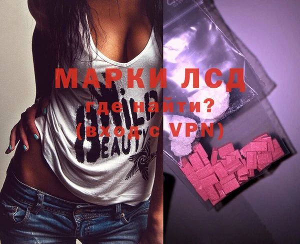 дживик Ельня