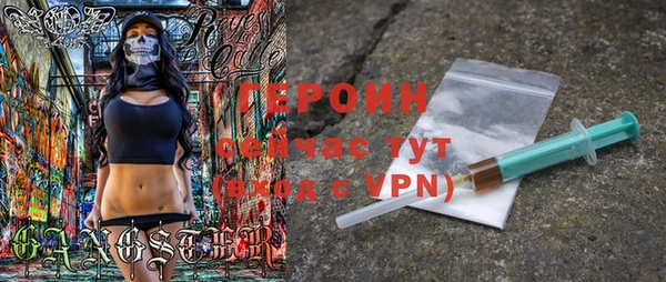 дживик Ельня