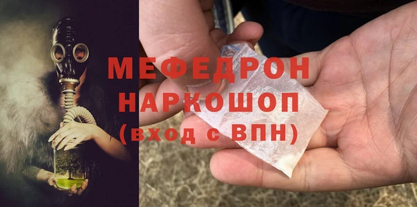 дживик Ельня